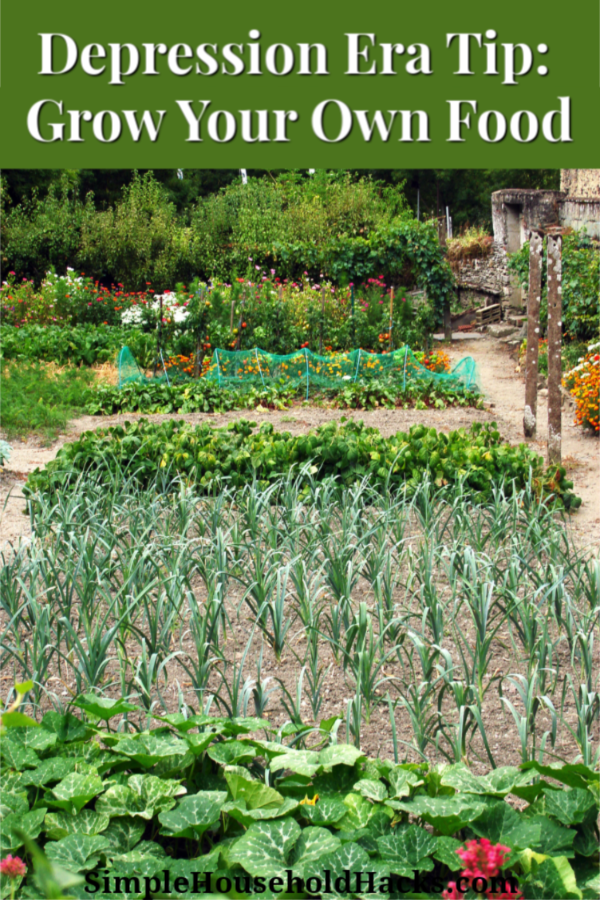 Depression Era Tip: Grow Your Own Food including a vegetable garden, herbs, fruit trees, and chickens.