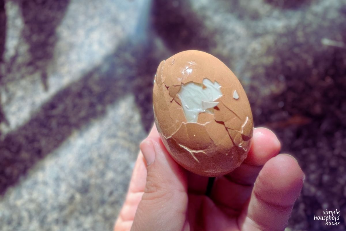 Hard Boiled Egg With Cracked Shell