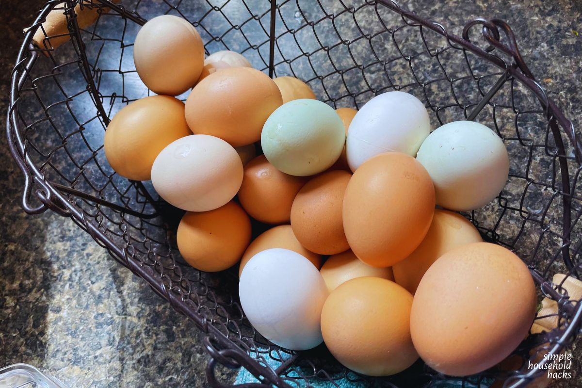 Eggs in a wire Basket